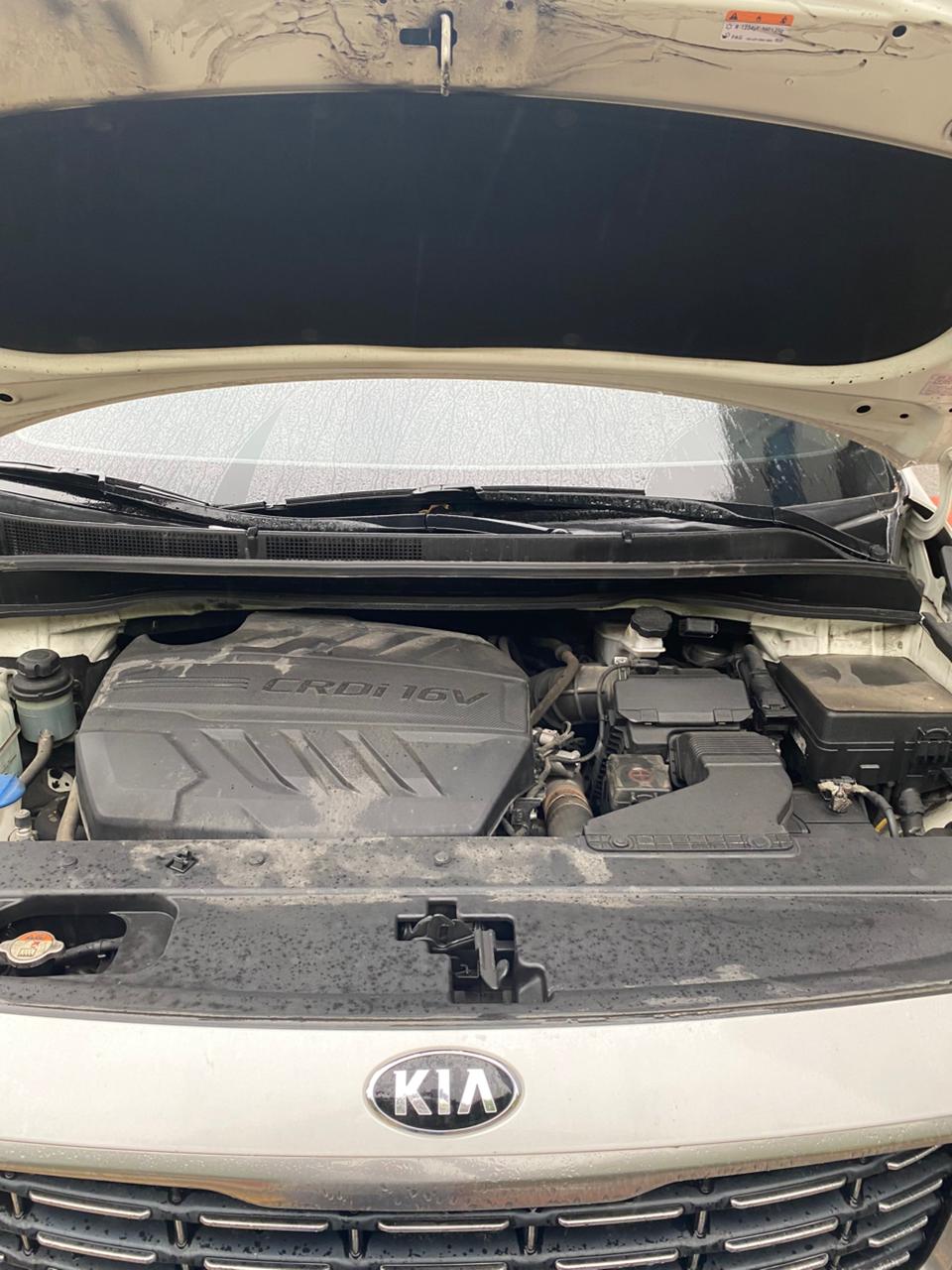 كيا - كارنفال - Image 28