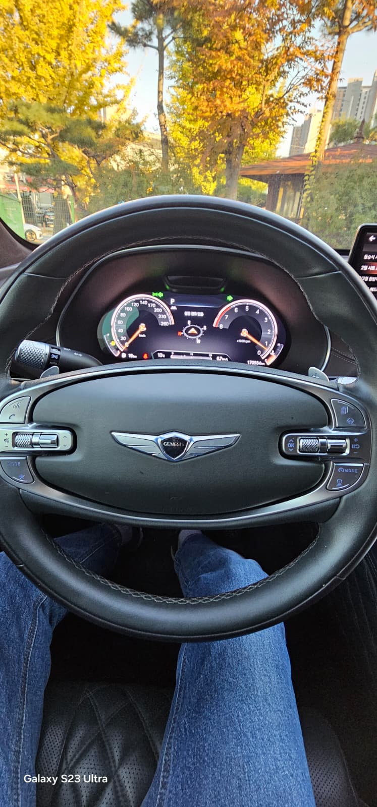 جينسس - GV80 - Image 17